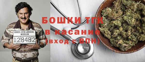 амф Арсеньев