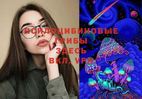 амф Арсеньев