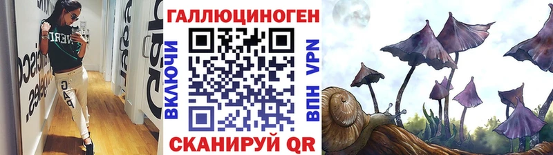 hydra   где можно купить   Галич  Псилоцибиновые грибы Psilocybe 